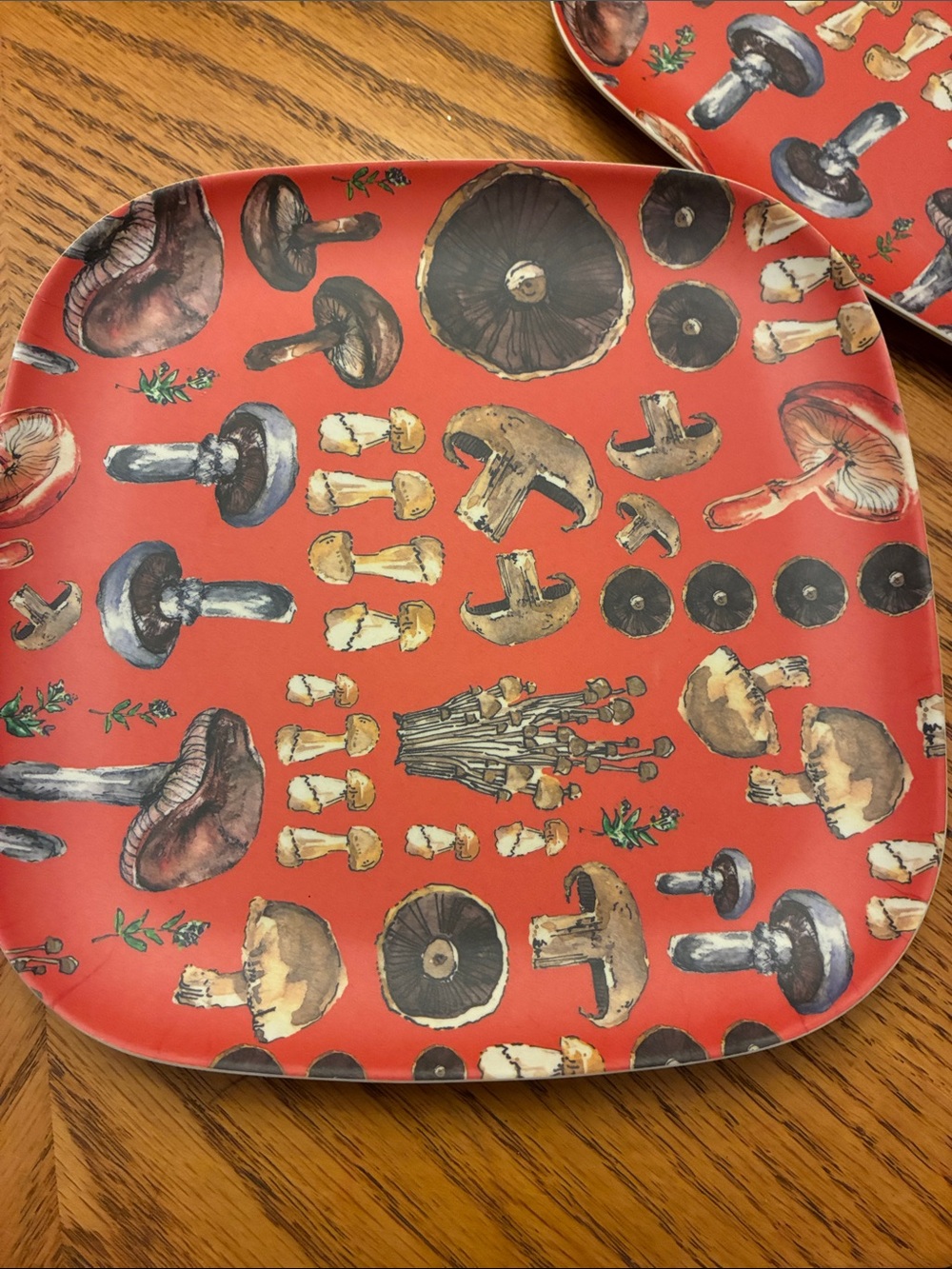 Terrain Anthropologie Mushroom Melamine Square 8” Plates Set of 4 Cottagecore⁠ - Picture 5 of 7